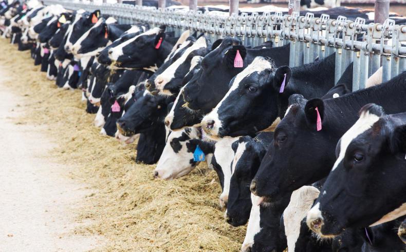 Shares in China's largest dairy company crash by 85%