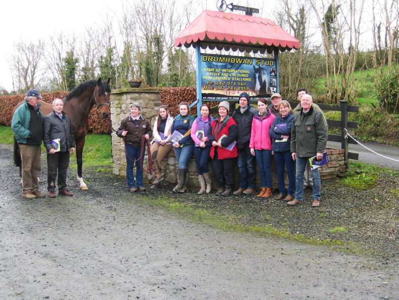 Knowledge transfer groups have potential to improve our equine industry