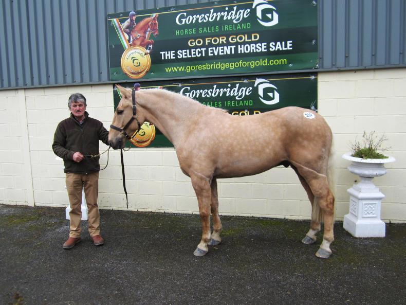 Goresbridge attracts bumper crowd of overseas buyers