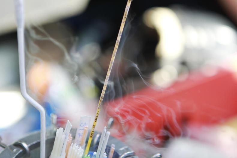 ICBF reacts to new active bull list