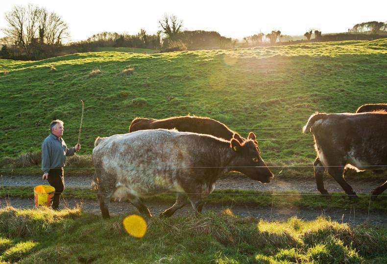 Watch and listen: Macra wants CAP Basic Payment removed from reference years 