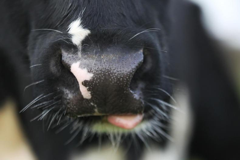 Farmer Writes: breeding blind science 