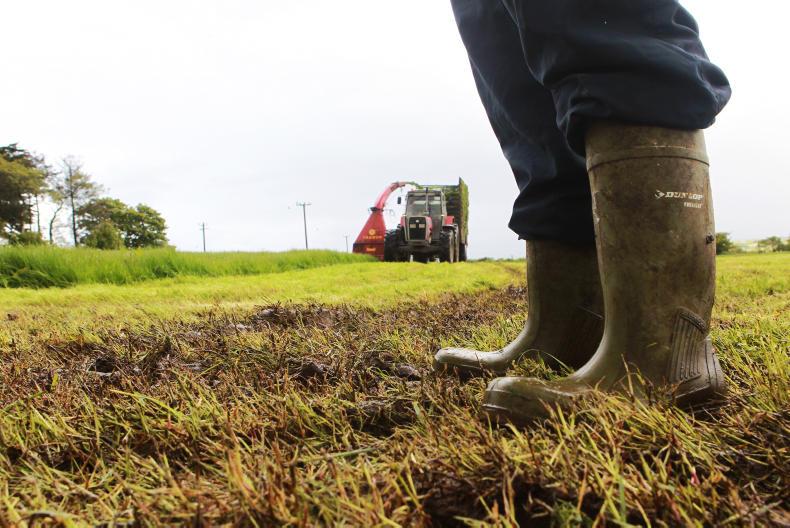 Ten reasons why farming is a great career