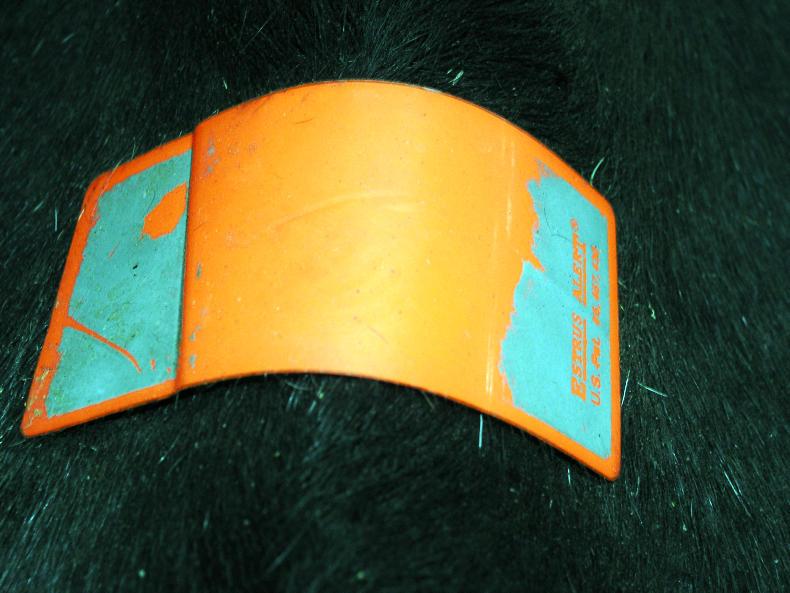 How can I swtich to AI?        