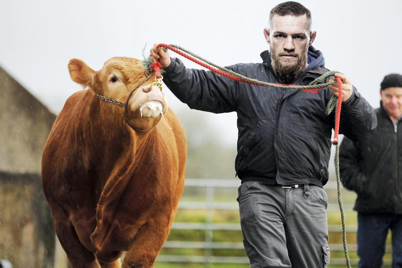 Conor McGregor swaps fighting for farming 
