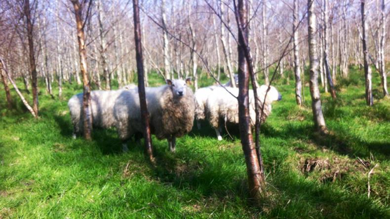Farmer writes: conquering brave new worlds 