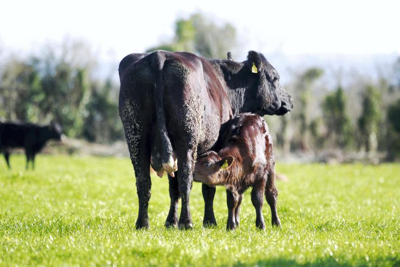 Breeding progress = genetics + management