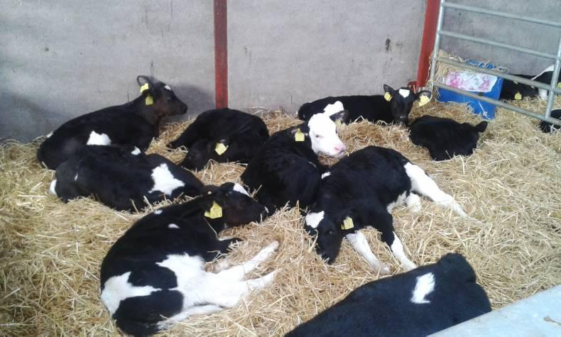 ICBF - a need for big changes? 