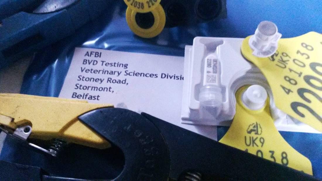 Farmers retaining PIs adds to cost of BVD