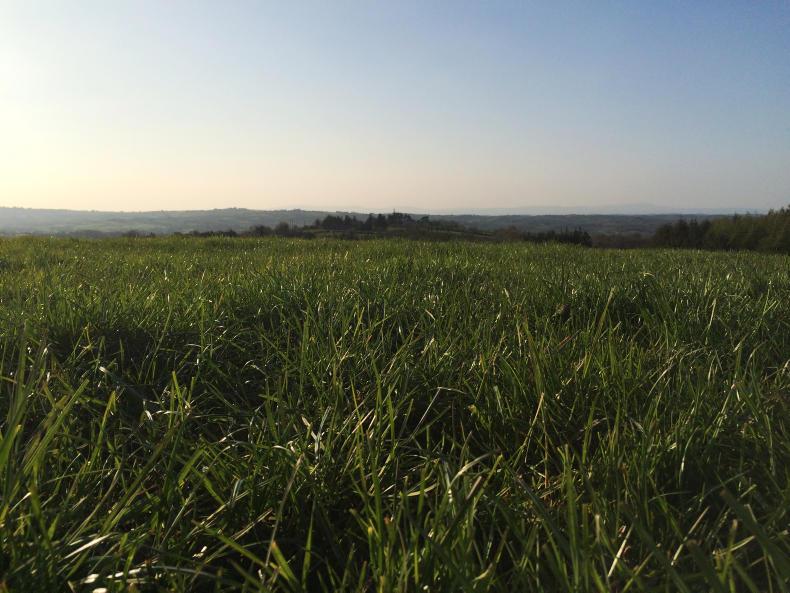 Weekend weather: mostly dry and bright conditions ahead