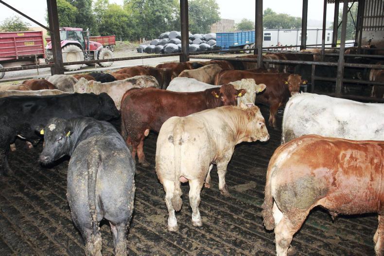 Beef research: mats on slats, what's the verdict?