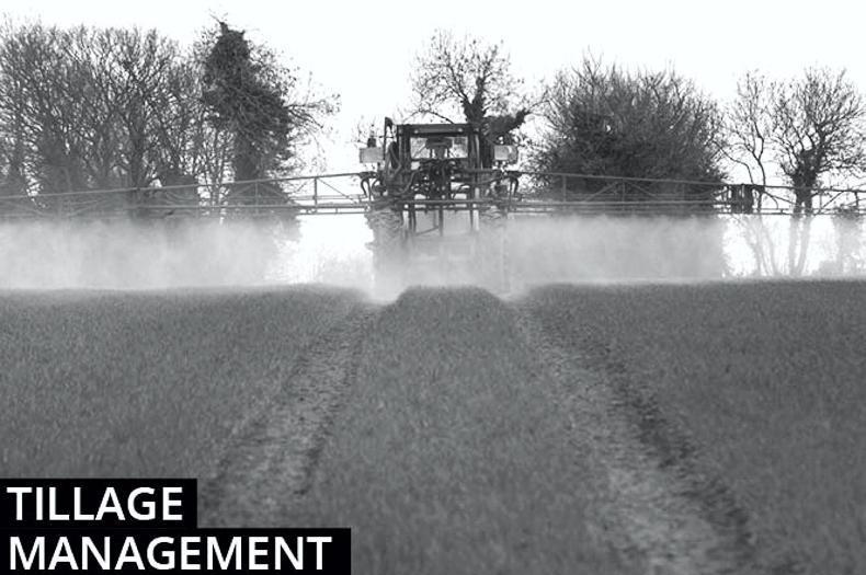Tillage management notes: good weather for growth and planting