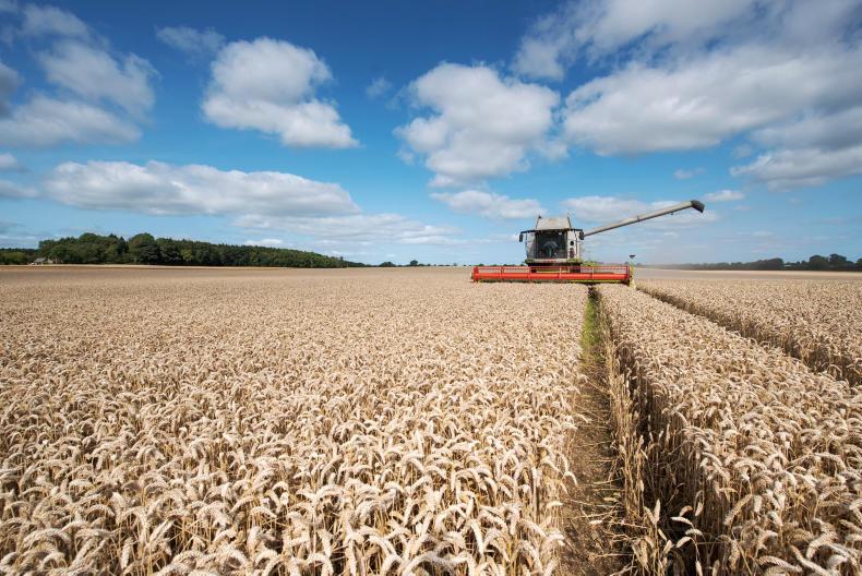 Grain prices: European wheat and maize futures hit 2017 lows