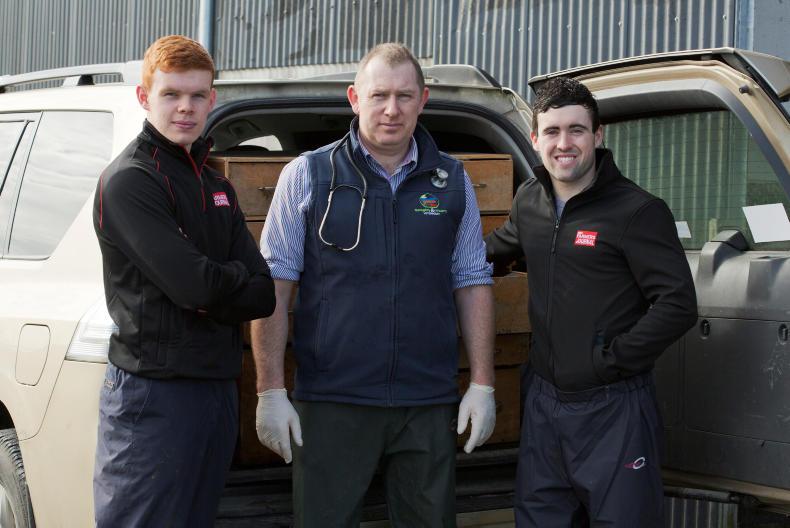 Watch: 24 hours with a vet               