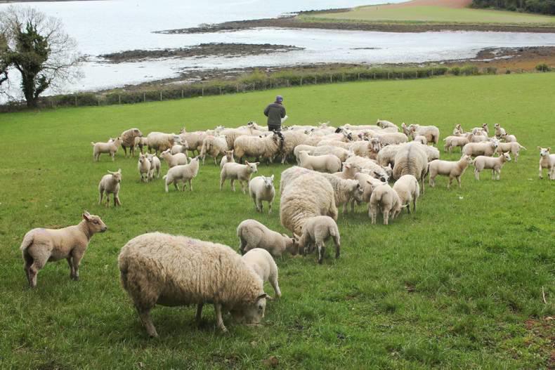 News in brief from Northern Ireland