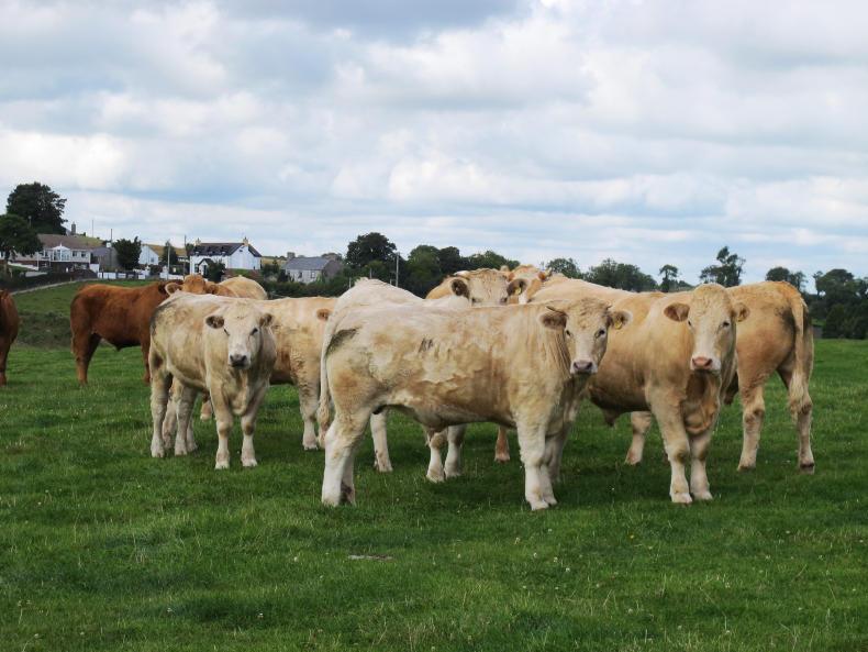 Over 280 farmers awaiting Organics monies