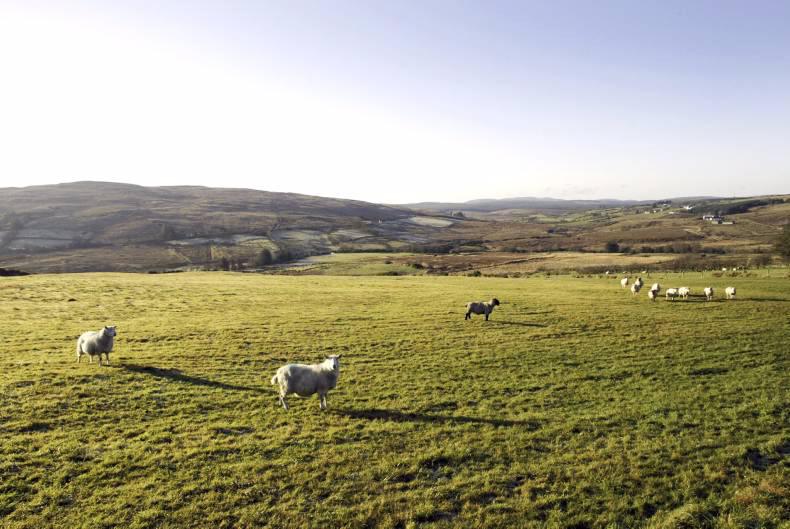 Macra na Feirme’s Land Mobility pilot programme surpasses all expectations