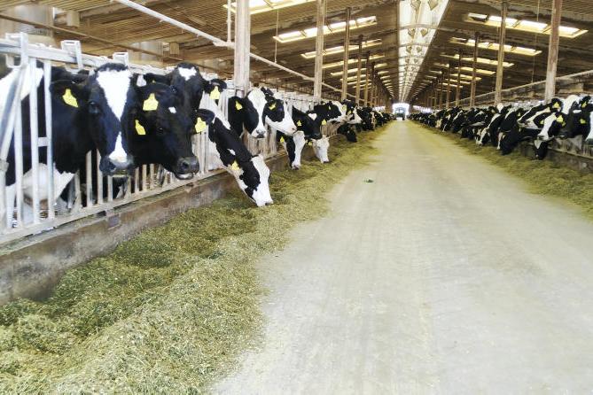 Eight Of The World S Biggest Farms 13 April 2017 Free