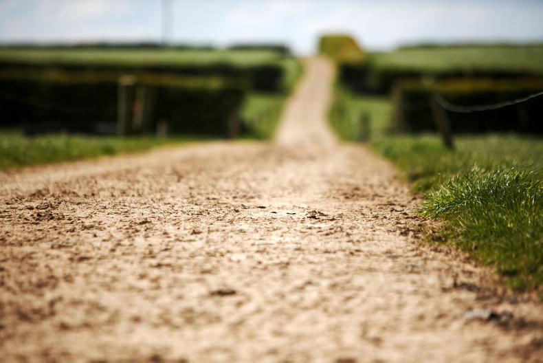 Dumping scam costs UK farmers €350,000