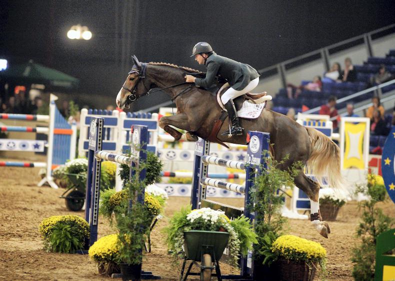 Preserving traditional bloodlines 