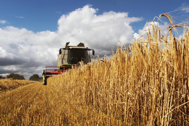 Grain prices: European futures on a solid footing after long Easter weekend