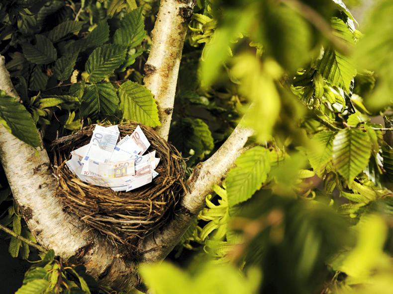 Dempsey at large:  direct payments or the pension, but not both