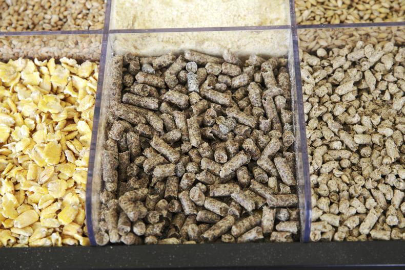 News round-up from Northern Ireland