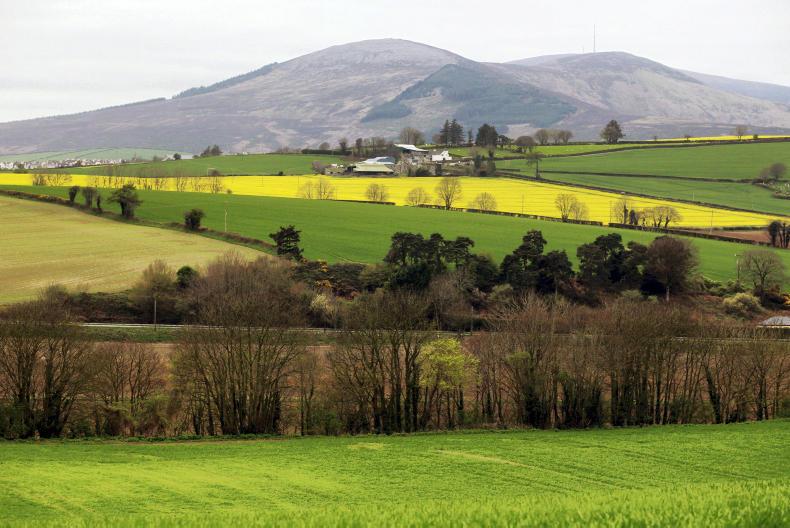 Just 173 GLAS farmers paid       