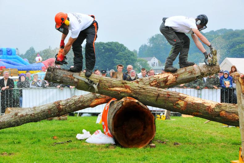 Fourth forestry show attracts exhibitors from a wide range of stakeholders
