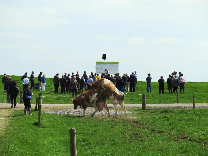 Top tips for a successful breeding season