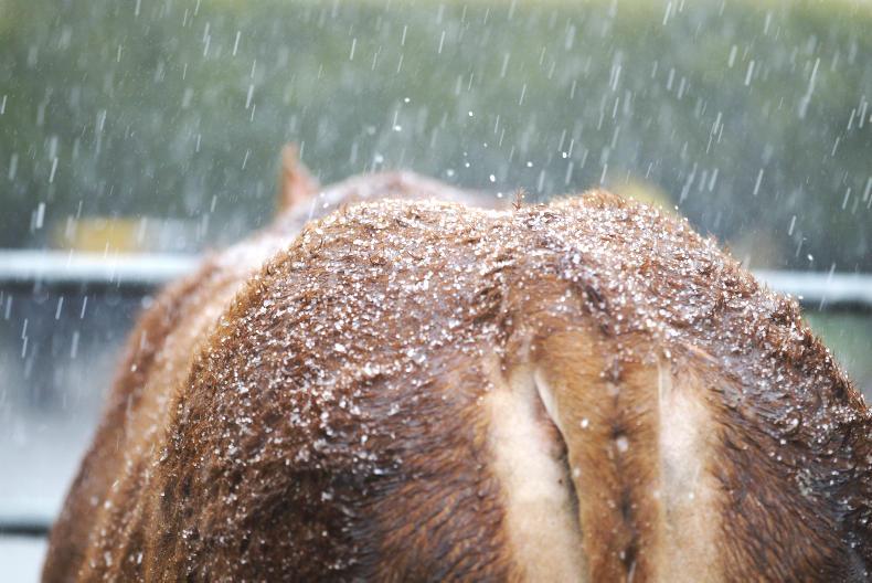 Weekly weather: a cold and unsettled week ahead 