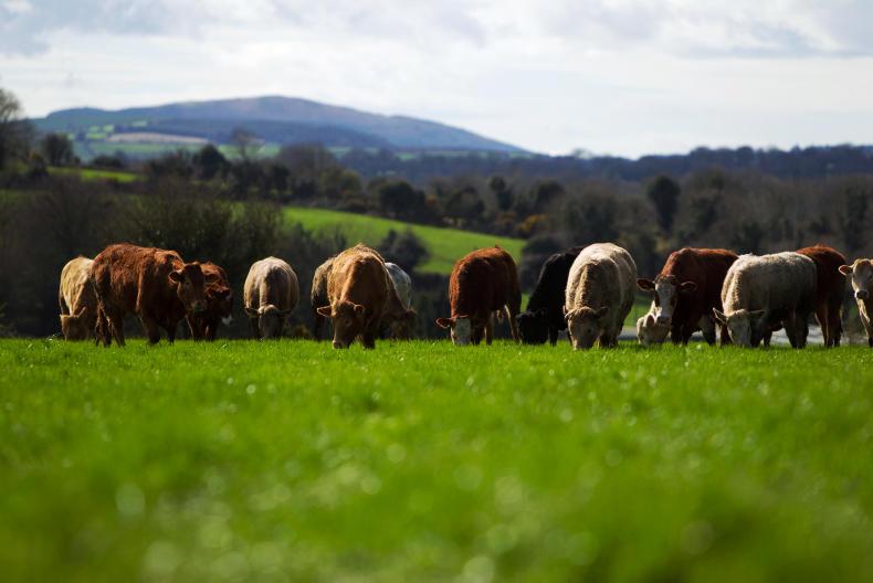 Farmer Writes: the joys of growing up on a farm 