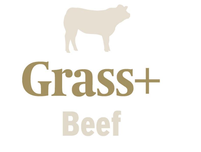 Grass+ beef: growth burst will be needed on some farms