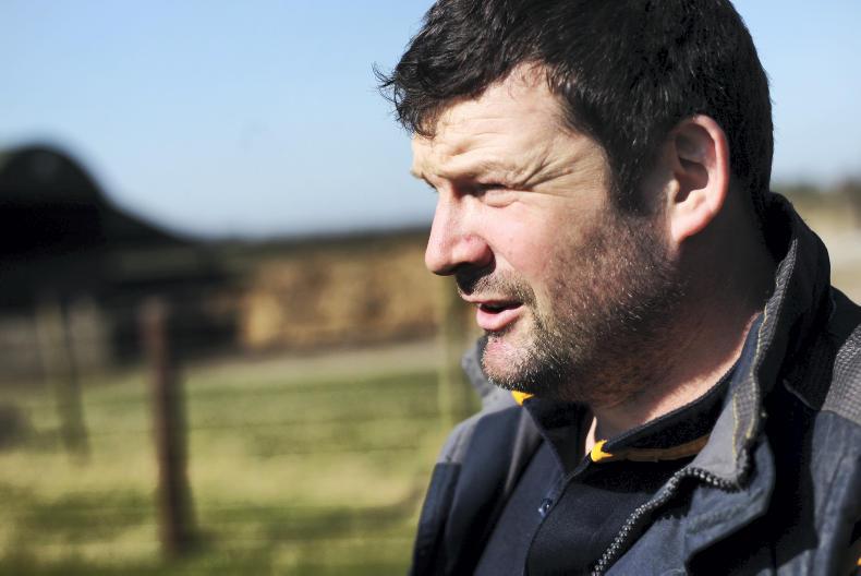 Farmer Writes: struggling to keep ahead of the grass