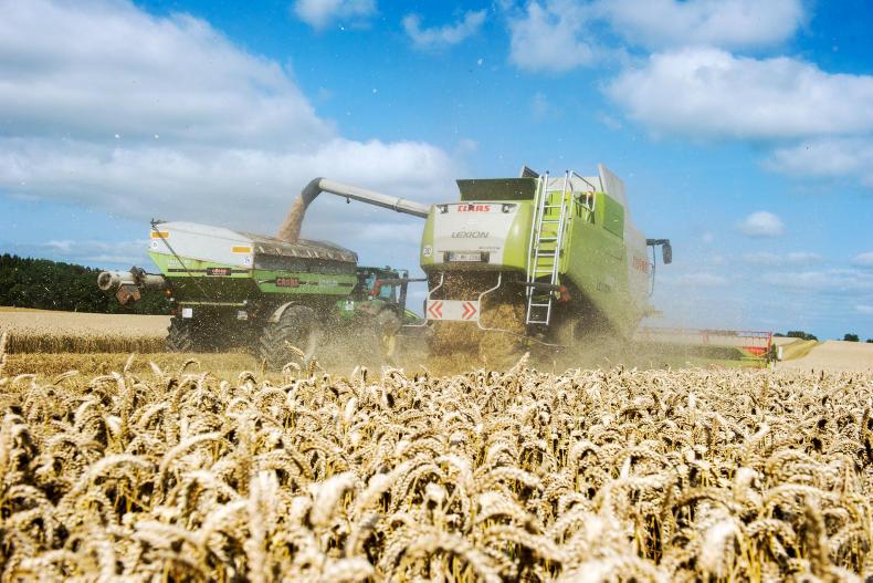 Grain prices: wheat futures bounce back