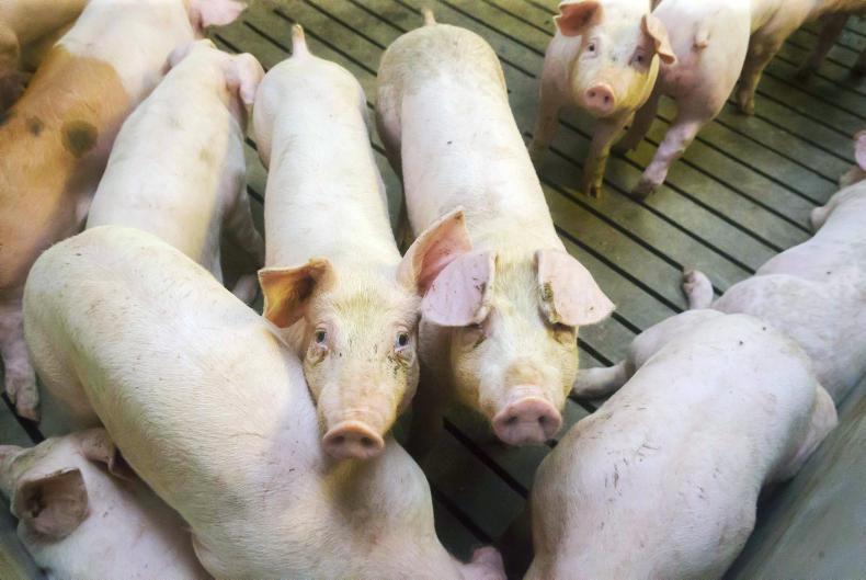 JBS purchase prepared foods company