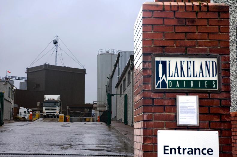 Profits halve at Lakeland Dairies