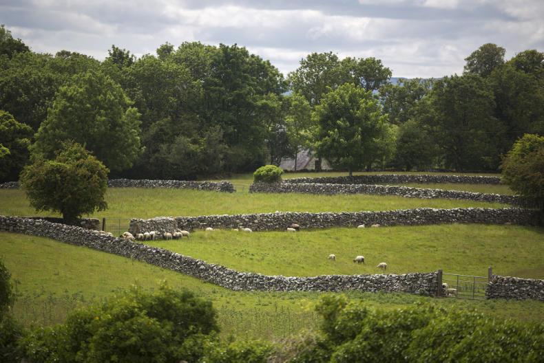 Traditional farm building grant applicants to receive approval this month