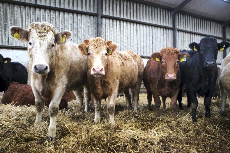 BDGP II closes to applications today