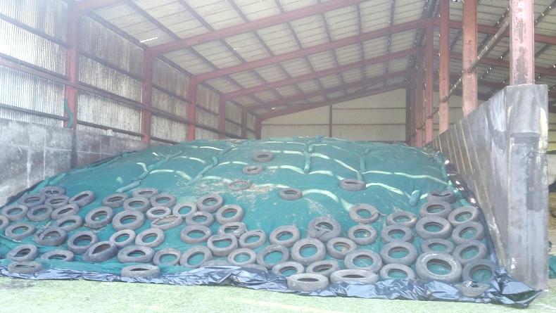 Silage fever comes early in 2017
