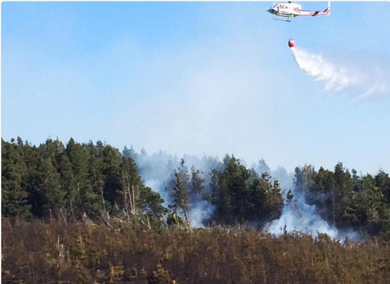 Air Corps helicopter to help Coillte fight to save 10,000ac Galway forest