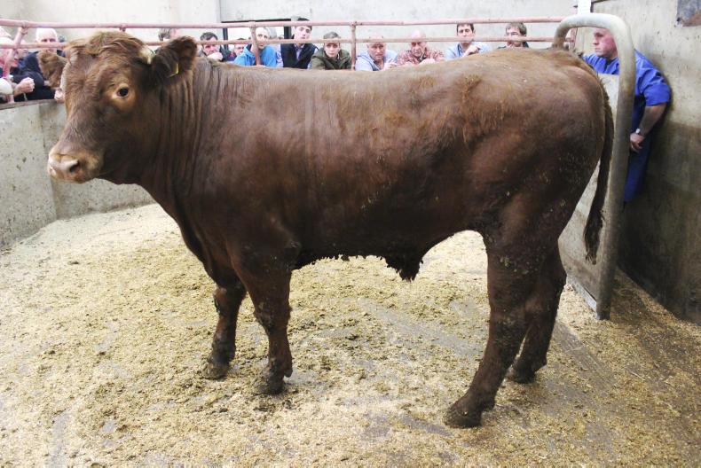 In pictures:  stores in demand at Clogher Mart