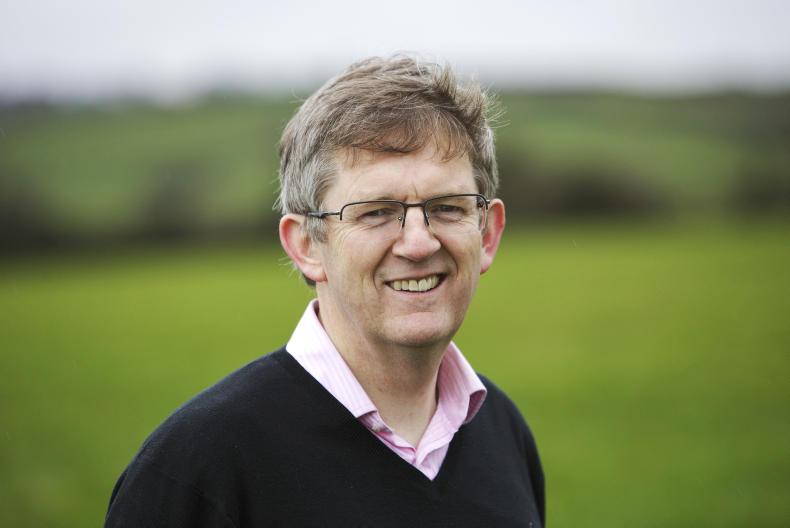 20 minutes with Liam Woulfe, CEO, Grassland Agro