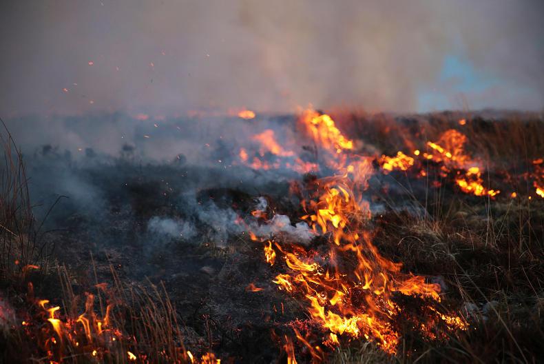 Thousands of hectares burn as wildfires rage
