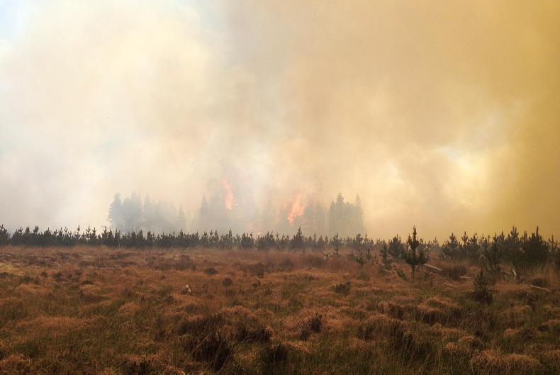 Illegal burning penalties warning as wildfires rage on 30 November