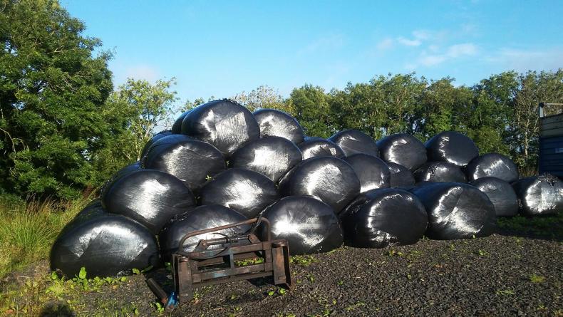 New focus required on silage quality