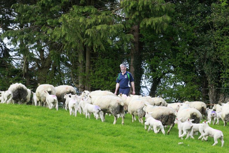 Around the country in pictures this week 10 May 2017 Free