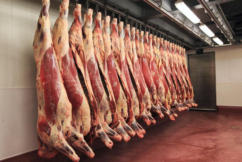 Beef prices slowly moving upwards