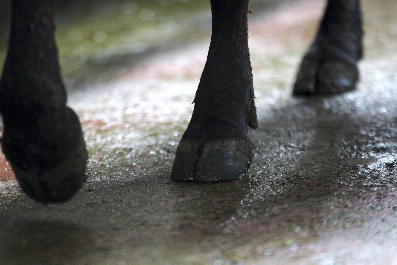 Lakeland abolishes collection charge