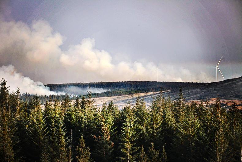 Cloosh Valley fire quelled, hot spots to be monitored 
